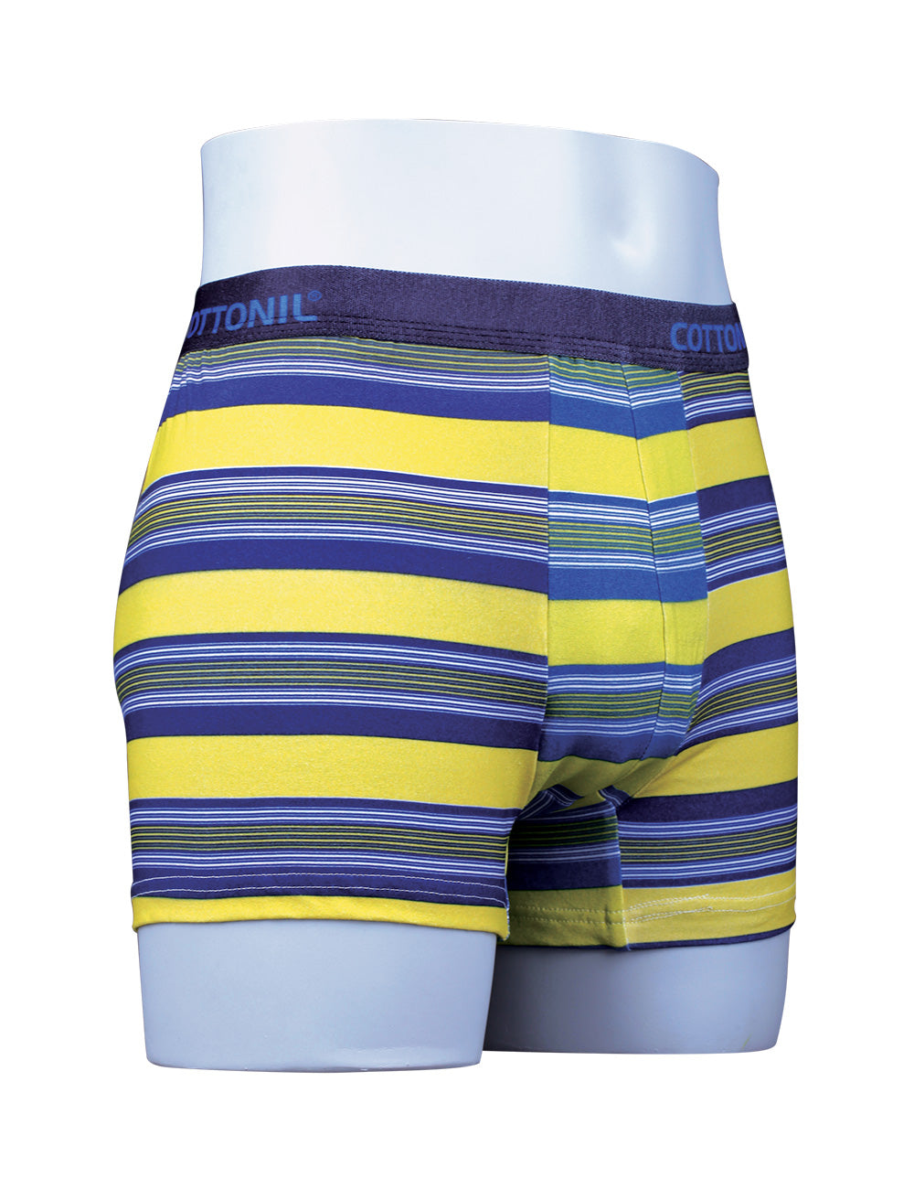 CN Boxer Striped