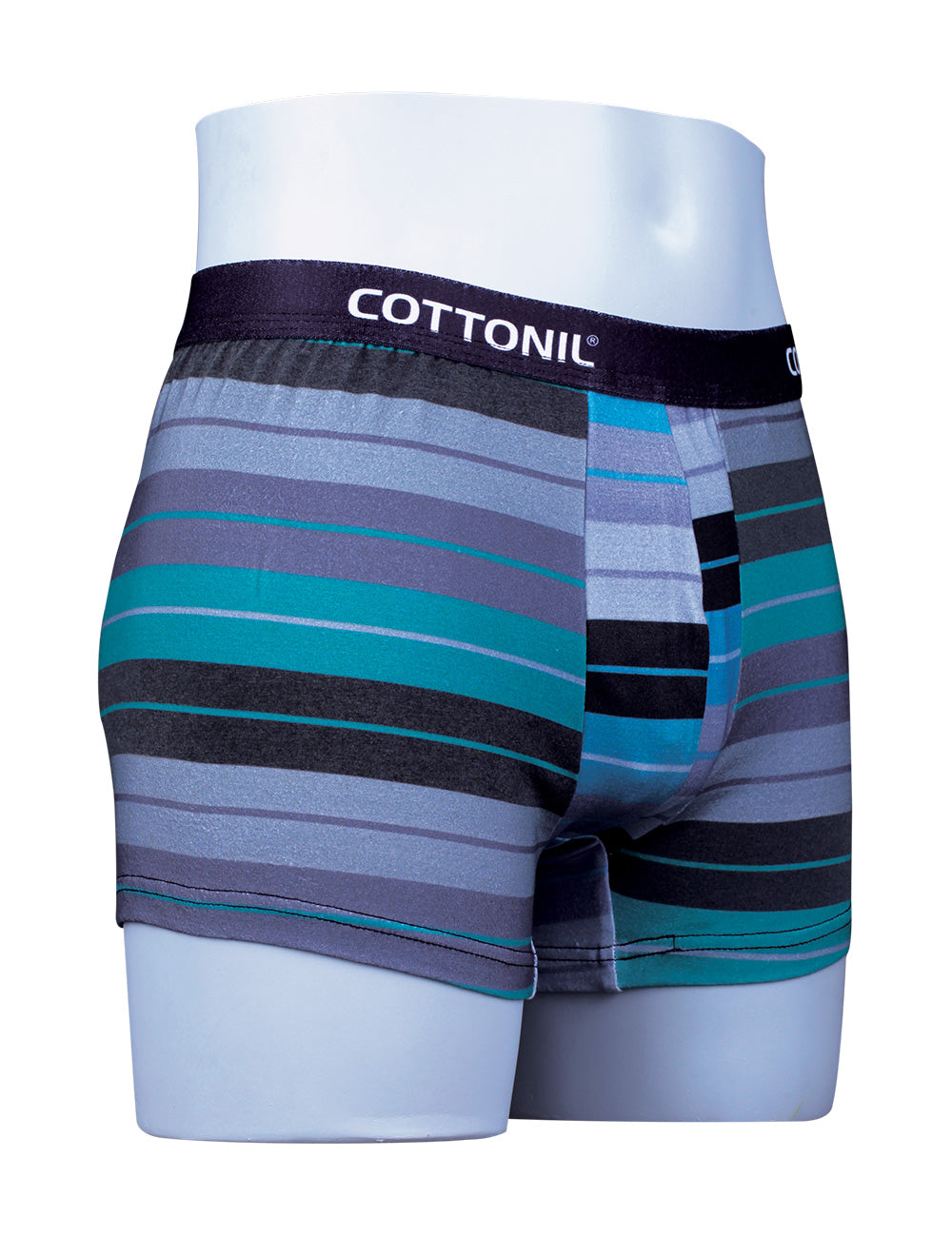 CN Boxer Striped